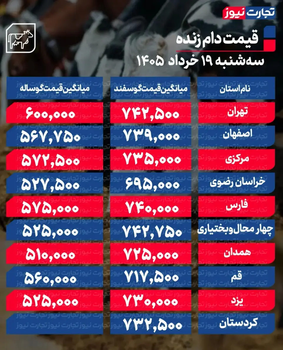 جدول قیمت دام 30