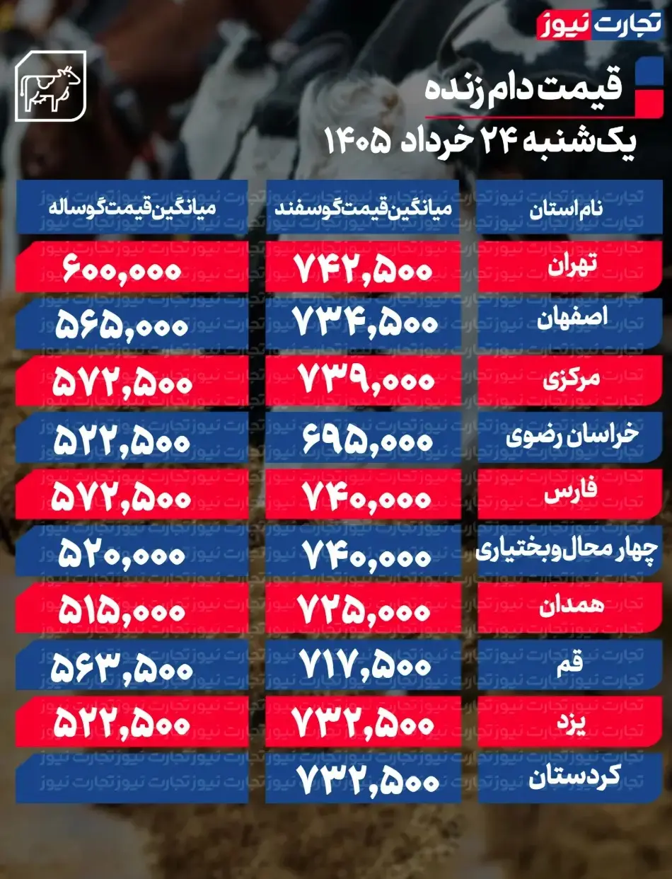 جدول قیمت دام 33