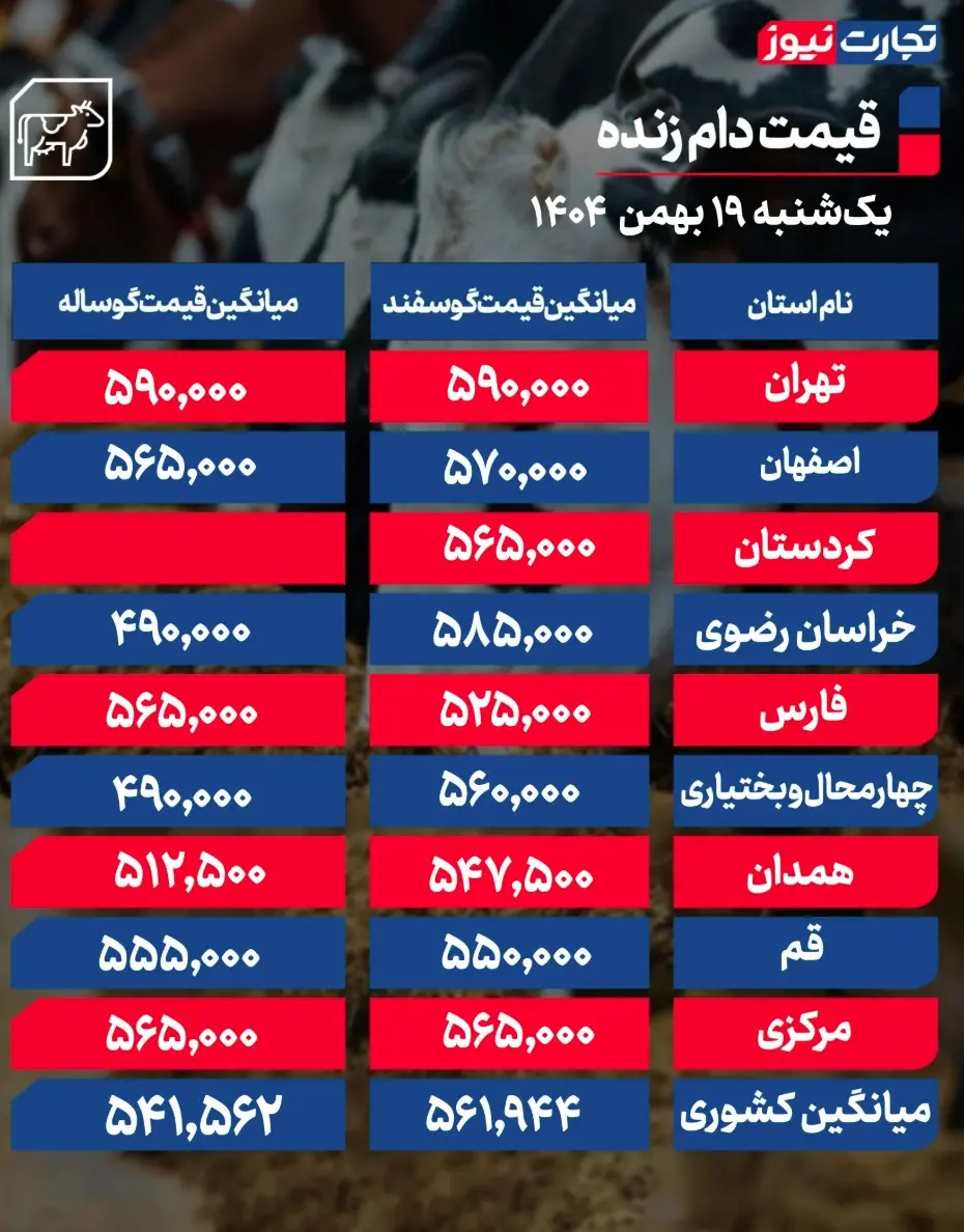 جدول قیمت دام 17