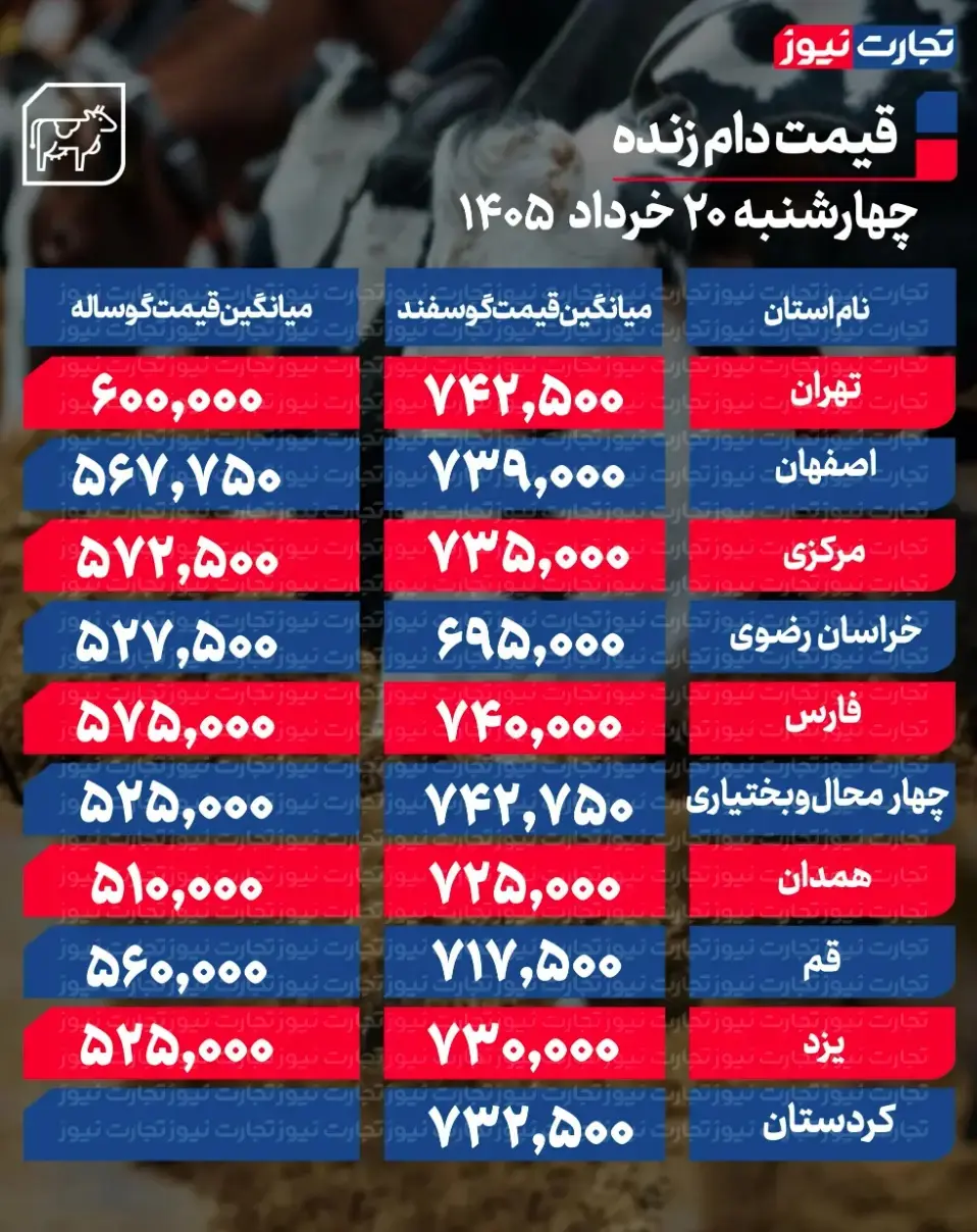 جدول قیمت دام 31
