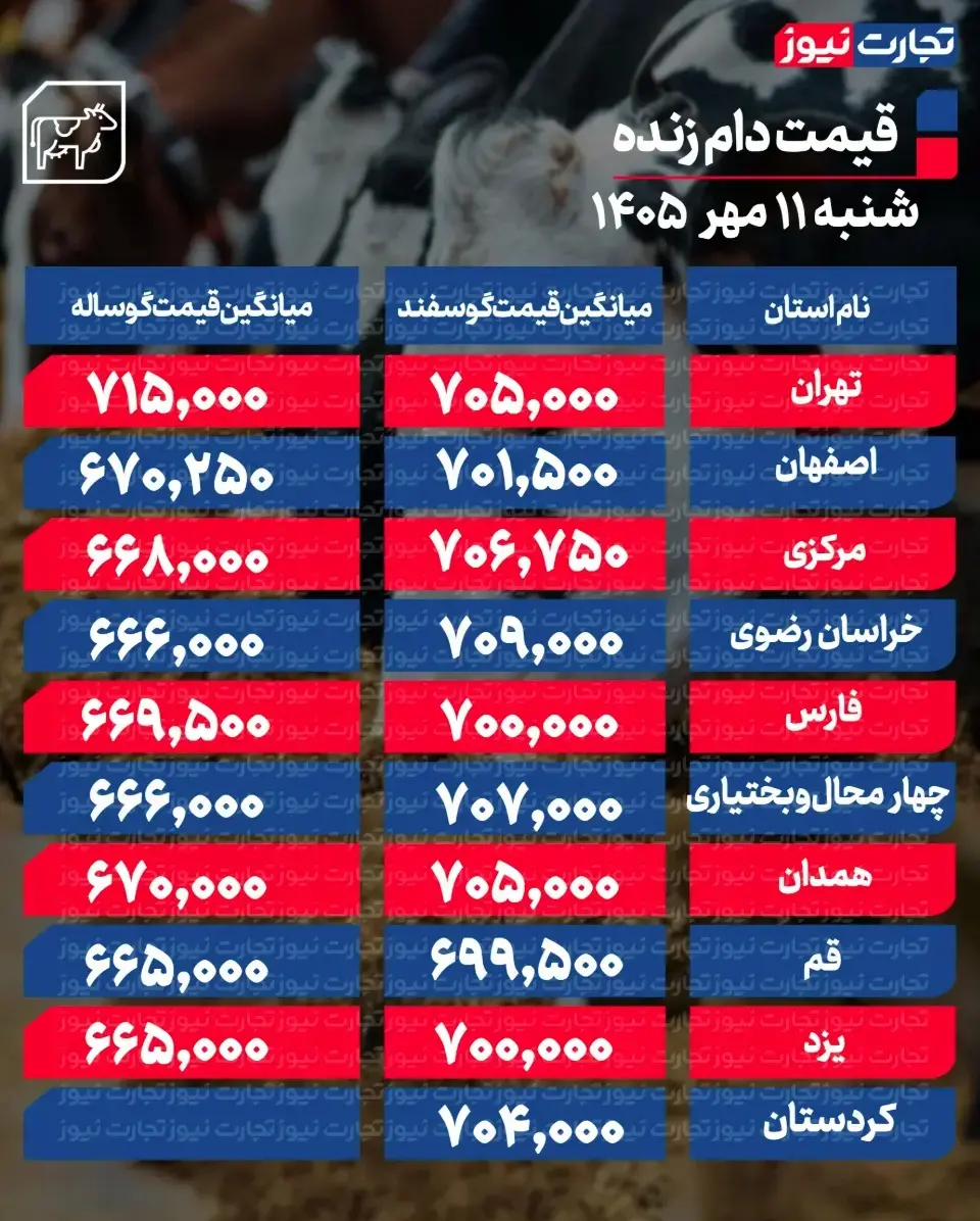 جدول قیمت دام 75