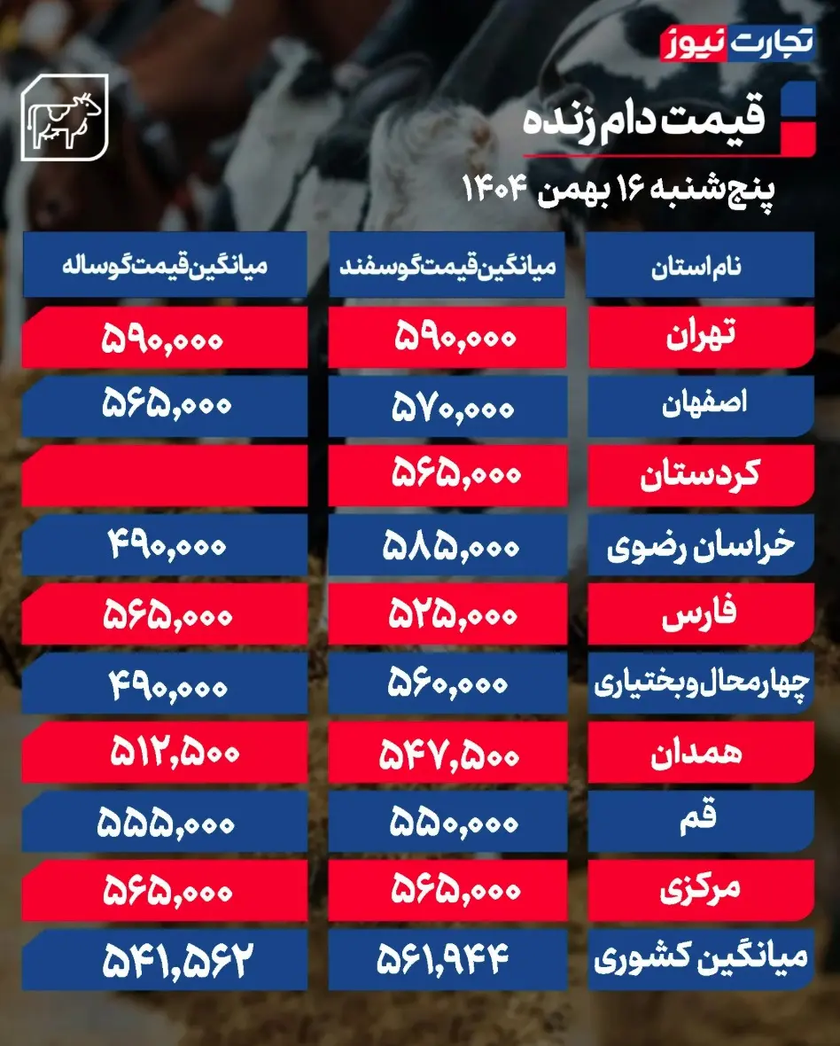 جدول قیمت دام 16