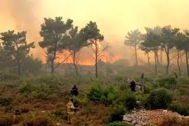 آخرین وضعیت از آتش‌سوزی جنگل‌های هیرکانی؛ درخواست بالگرد دادیم گفتند بزرگ‌نمایی می‌کنید!