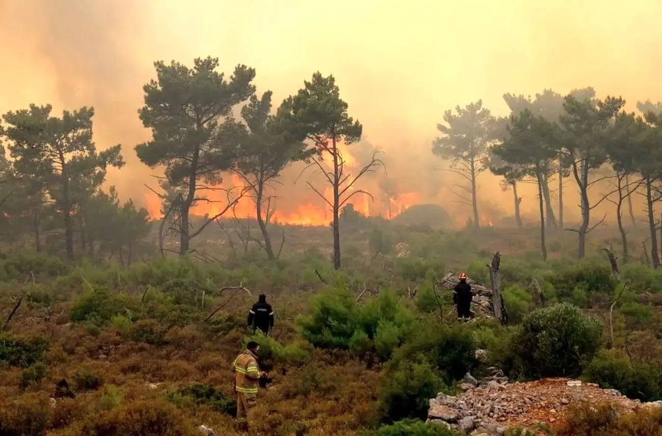 آخرین وضعیت از آتش‌سوزی جنگل‌های هیرکانی؛ درخواست بالگرد دادیم گفتند بزرگ‌نمایی می‌کنید!