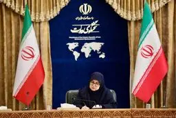 مهاجرانی: برنامه دولت برای مقابله با مکانیسم ماشه به زودی تصویب می‌شود