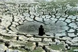 سراب نیلوفر کرمانشاه برای همیشه خشک شد