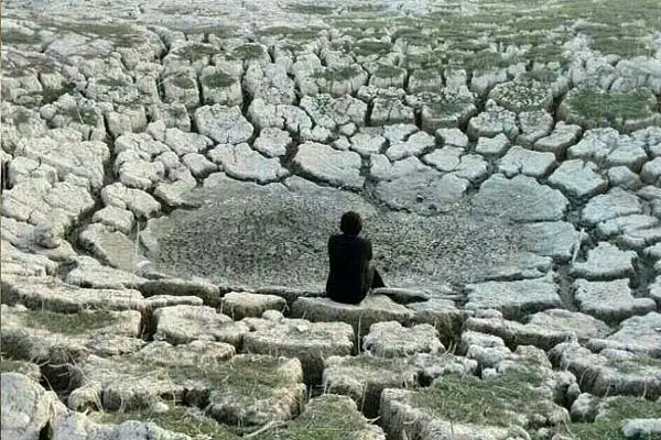«سراب نیلوفر» خشک شد