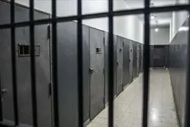 شرور سابقه‌دار عامل ضرب‌وشتم بانوان در لایو اینستاگرامی با شلیک پلیس دستگیر شد