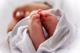 از شناسنامه الکترونیک تا صدور گواهی ولادت به صورت غیرحضوری