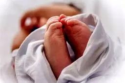 از شناسنامه الکترونیک تا صدور گواهی ولادت به صورت غیرحضوری