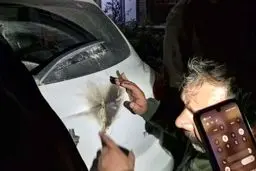 آخرین جزئیات از انفجار 3 بمب در تهران