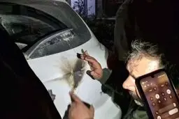آخرین جزئیات از انفجار 3 بمب در تهران