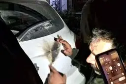 آخرین جزئیات از انفجار 3 بمب در تهران