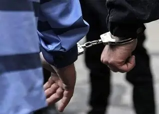 متهم پرونده نیلوفر مجاور دستگیر شد