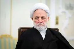 محسنی‌اژه‌ای با آیت‌الله شبیری‌زنجانی دیدار کرد؛ تأکید بر اهمیت و حساسیت امر قضا