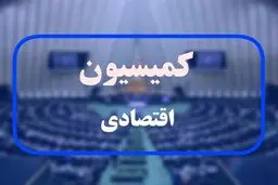 رئیس بانک مرکزی و وزیر اقتصاد به مجلس می‌روند