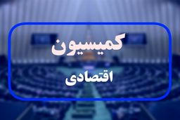 موافقت کمیسیون اقتصادی مجلس با علی مدنی‌زاده