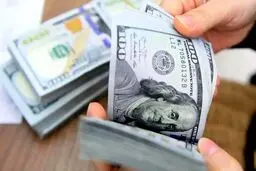 قیمت دلار، یورو و انواع ارز امروز یکشنبه ۱۲ بهمن ۱۴۰۴/ دلار گران شد؟