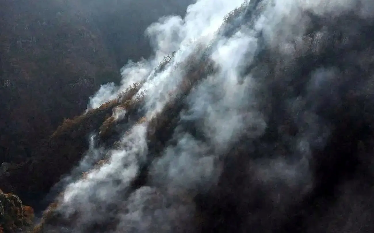 آخرین وضعیت آتش‌سوزی در جنگل‌های گلستان و آذربایجان شرقی