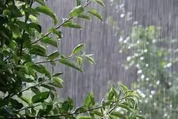هواشناسی ایران ۱۴۰۲/۰۲/۱۲؛ تداوم ناپایداری‌های جوی تا روز جمعه/ هشدار سازمان هواشناسی برای ۱۱ استان