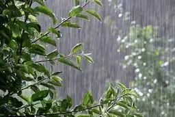 هواشناسی ایران ۱۴۰۲/۰۲/۱۲؛ تداوم ناپایداری‌های جوی تا روز جمعه/ هشدار سازمان هواشناسی برای ۱۱ استان