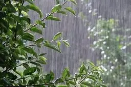 هواشناسی ایران ۱۴۰۲/۰۲/۱۲؛ تداوم ناپایداری‌های جوی تا روز جمعه/ هشدار سازمان هواشناسی برای ۱۱ استان