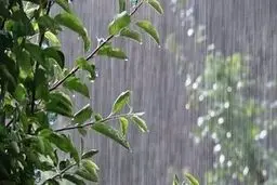 هواشناسی ایران ۱۴۰۲/۰۲/۲۵؛ هشدار سازمان هواشناسی برای ۷ استان/ سامانه بارشی جدید در راه است