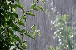 هواشناسی ایران ۱۴۰۲/۰۲/۲۵؛ هشدار سازمان هواشناسی برای ۷ استان/ سامانه بارشی جدید در راه است