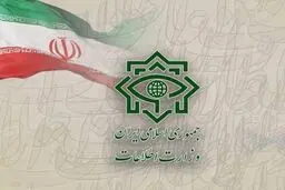 وزارت اطلاعات: یک شبکه‌ی همکار با سرویس اطلاعاتی بیگانه متلاشی شد