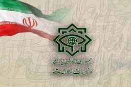 وزارت اطلاعات: یک شبکه‌ی همکار با سرویس اطلاعاتی بیگانه متلاشی شد