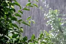 هواشناسی ایران ۱۴۰۲/۰۲/۲۳؛ هشدار سازمان هواشناسی برای استان‌های ساحلی کشور