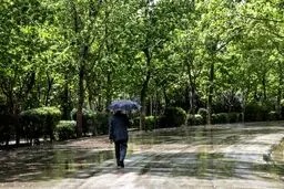 بارش باران در نقاط مختلف کشور/ کاهش دما در نیمه شمالی