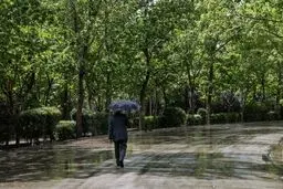 بارش باران در نقاط مختلف کشور/ کاهش دما در نیمه شمالی