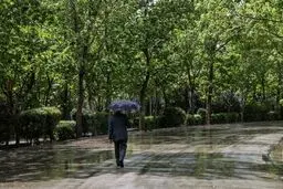 بارش باران در نقاط مختلف کشور/ کاهش دما در نیمه شمالی