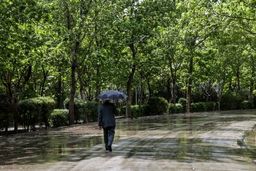 بارش باران در نقاط مختلف کشور/ کاهش دما در نیمه شمالی