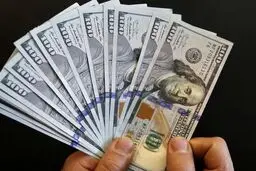 قیمت دلار و یورو امروز ۱۸ تیر ۱۴۰۲ در صرافی‌ها و مرکز مبادله چند؟+ جدول قیمت‌ها