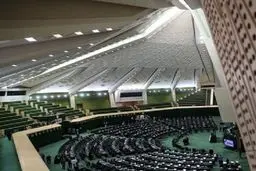 بررسی طرح «صیانت» طبق اصل ۸۵ لغو شد؟