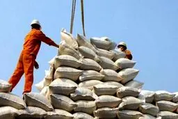 آغاز ترخیص ۱۵ هزار تن برنج از امروز