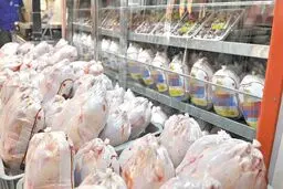 ۱۰ تُن مرغ به نرخ کیلویی ۲۵ هزار تومان امروز در تهران توزیع شد