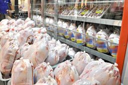 ۱۰ تُن مرغ به نرخ کیلویی ۲۵ هزار تومان امروز در تهران توزیع شد