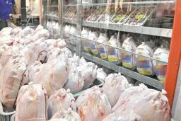 ۱۰ تُن مرغ به نرخ کیلویی ۲۵ هزار تومان امروز در تهران توزیع شد