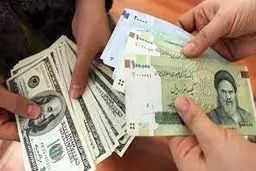 عضو کمیسیون بودجه: نظارت دولت سابق بر کالاهای مشمول ارز ۴۲۰۰ تومانی ضعیف بود