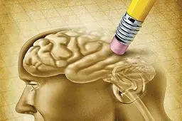 نتیجه موفقیت‌آمیز یک روش جدید برای ارائه واکسن و درمان آلزایمر