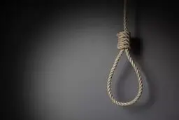 حکم قصاص آرمان عبدالعالی اجرا شد