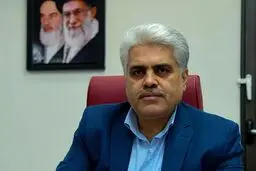 آیین‌نامه اجرایی توسعه LPG به دولت ارائه شده است