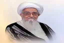 آیت الله صافی گلپایگانی دارفانی را وداع گفت