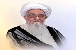 آیت الله صافی گلپایگانی دارفانی را وداع گفت