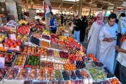 قطر بازار مناسبی برای محصولات کشاورزی و غذایی ایران است