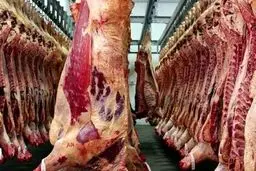 دستور واردات سریع ۱۰هزار تن گوشت گرم گوسفندی برای تنظیم بازار شب عید