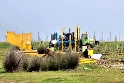 ماراتن ۳۰ روزه پتروشیمی و محیط زیست در میانکاله